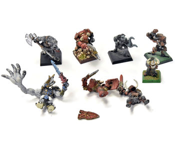 CHAOS Chaos Lord & 8 Other Beastmen METAL Fantasy