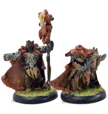 HORDES Reeve of Orboros Chieftain & Standard #1 METAL circle orboros