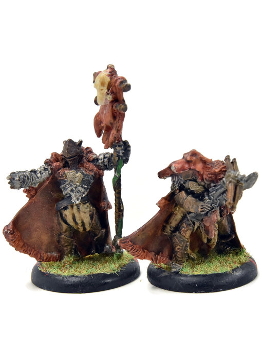 HORDES Reeve of Orboros Chieftain & Standard #1 METAL circle orboros