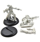 HORDES Saeryn Omen of Everblight #1 METAL legion of everblight