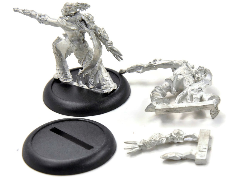 HORDES Saeryn Omen of Everblight #1 METAL legion of everblight