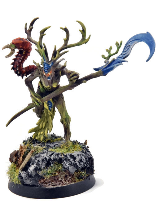 SYLVANETH Branchwych #2 WELL PAINTED Sigmar