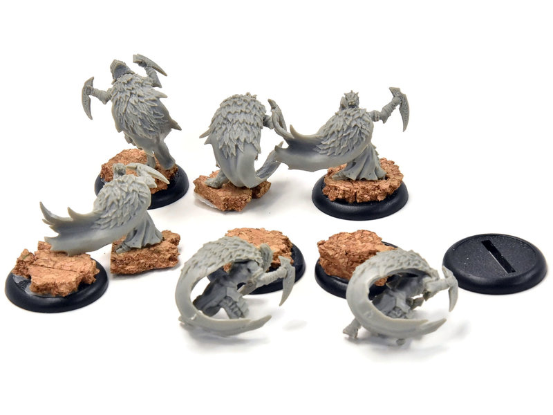 HORDES 8 Strider Blightblades #1 legion of everblight