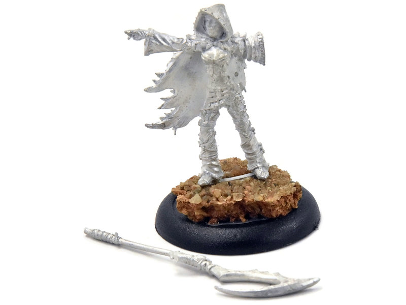 HORDES Blighted Nyss Sheperd #1 METAL legion of everblight