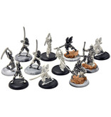HORDES Blighted Nyss Swordsmen with Champion Abbot #1 METAL legion of everblight