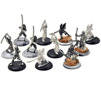 HORDES Blighted Nyss Swordsmen with Champion Abbot #1 METAL legion of everblight