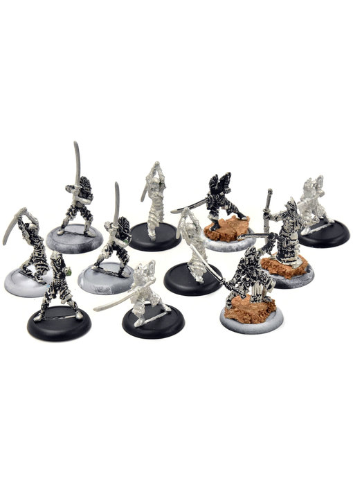 HORDES Blighted Nyss Swordsmen with Champion Abbot #1 METAL legion of everblight