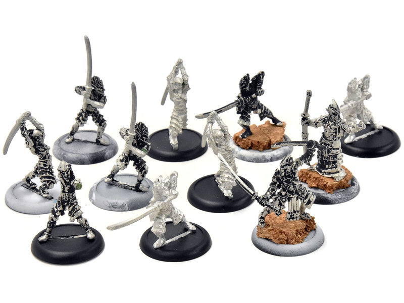 HORDES Blighted Nyss Swordsmen with Champion Abbot #1 METAL legion of everblight