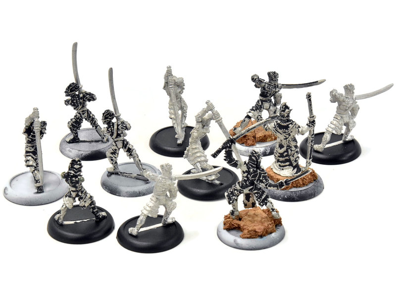 HORDES Blighted Nyss Swordsmen with Champion Abbot #1 METAL legion of everblight