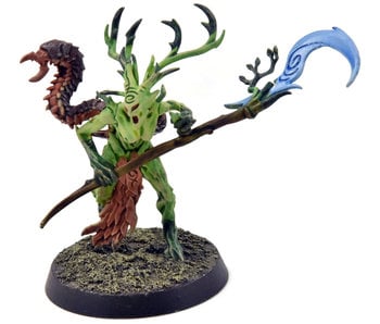 SYLVANETH Branchwych #1 PRO PAINTED Sigmar