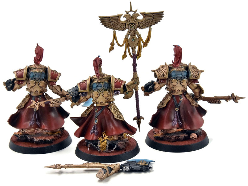 Games Workshop ADEPTUS CUSTODES 3 Allarus Custodians #3 PRO PAINTED Warhammer 40K