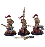 Games Workshop ADEPTUS CUSTODES 3 Allarus Custodians #3 PRO PAINTED Warhammer 40K