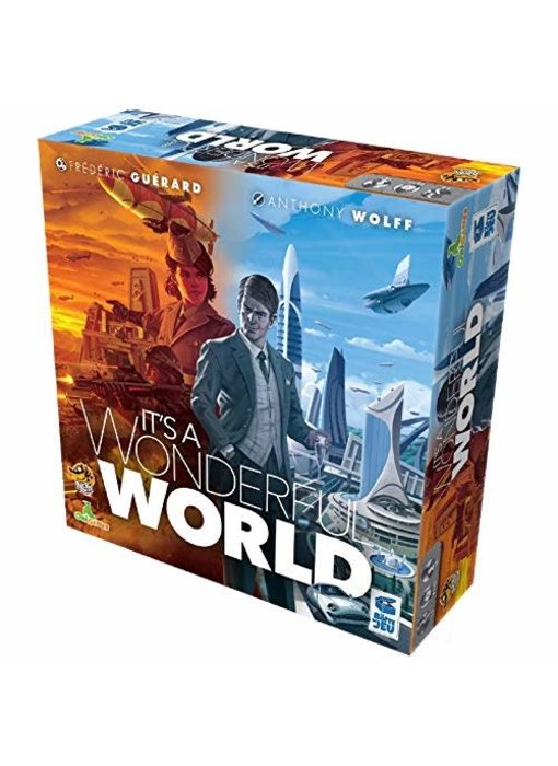 It's a Wonderful World (FR)