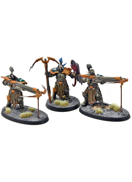 STORMCAST ETERNALS 3 Vanguard-Raptors #3 WELL PAINTED Sigmar