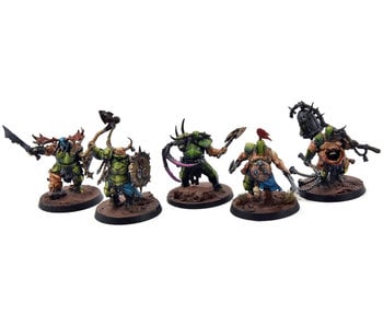 MAGGOTKIN OF NURGLE 5 Putrid Blightkings #1 WELL PAINTED Sigmar