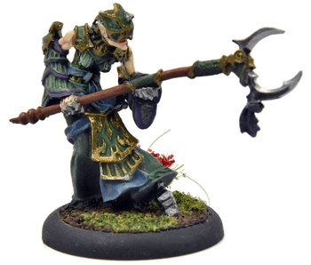 HORDES Paingiver Task Master #1 METAL Skorne WELL PAINTED