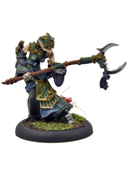 HORDES Paingiver Task Master #1 METAL Skorne WELL PAINTED