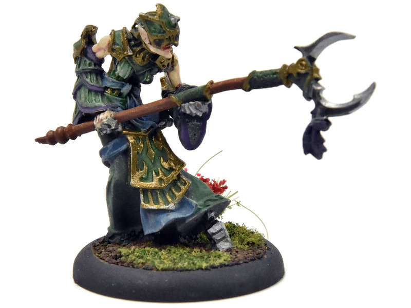 HORDES Paingiver Task Master #1 METAL Skorne WELL PAINTED