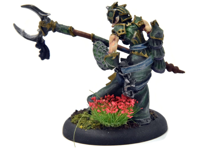 HORDES Paingiver Task Master #1 METAL Skorne WELL PAINTED