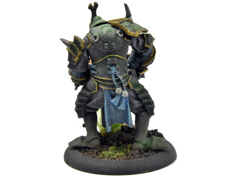 HORDES Cyclop Raider #2 Skorne WELL PAINTED