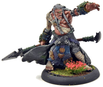 HORDES Cyclop Shaman #1 METAL Skorne WELL PAINTED