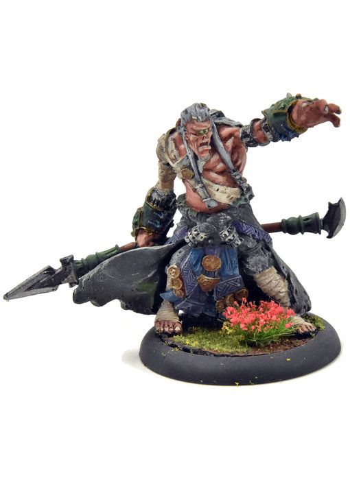 HORDES Cyclop Shaman #1 METAL Skorne WELL PAINTED