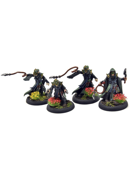 HORDES 4 Paingivers Beast Handlers #2 METAL Skorne WELL PAINTED