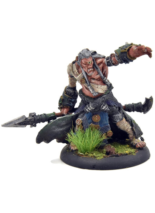 HORDES Cyclop Shaman #2 METAL Skorne WELL PAINTED