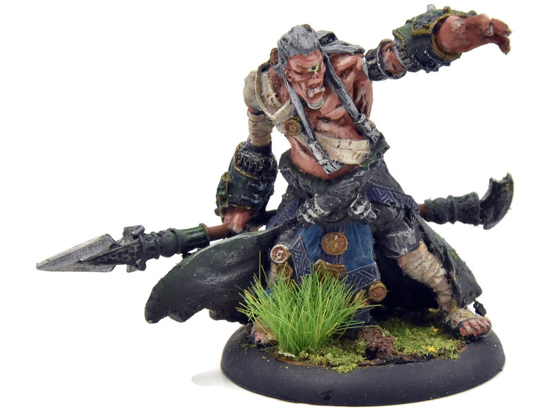 HORDES Cyclop Shaman #2 METAL Skorne WELL PAINTED