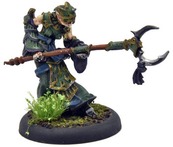 HORDES Paingiver Task Master #2 METAL Skorne WELL PAINTED