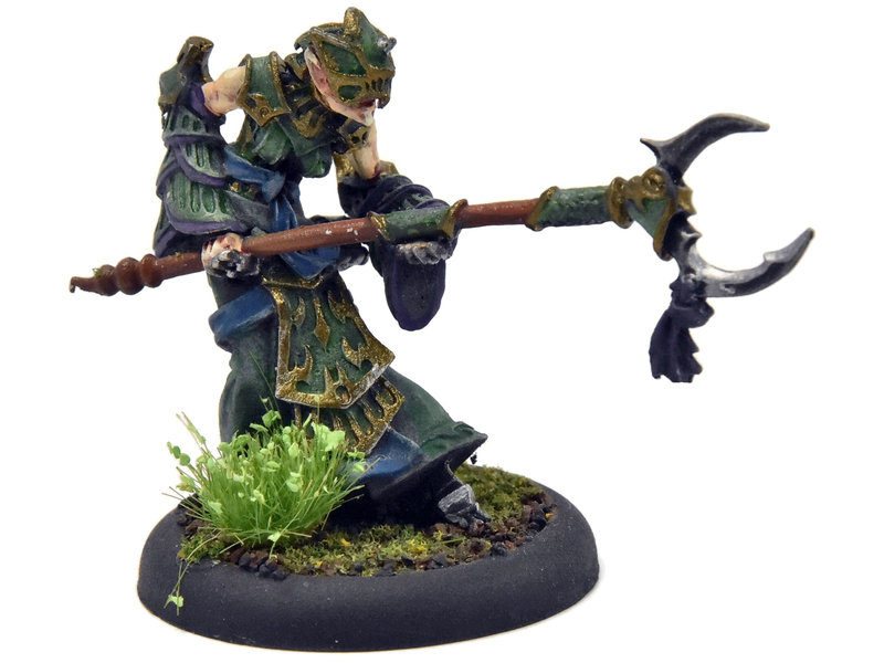HORDES Paingiver Task Master #2 METAL Skorne WELL PAINTED