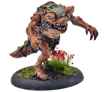 HORDES Basilisk Drake #1 METAL Skorne WELL PAINTED