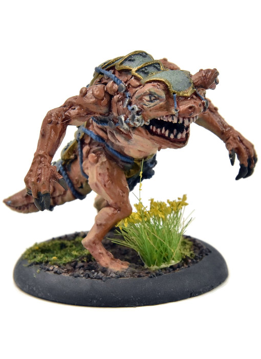 HORDES Basilisk Drake #2 METAL Skorne WELL PAINTED