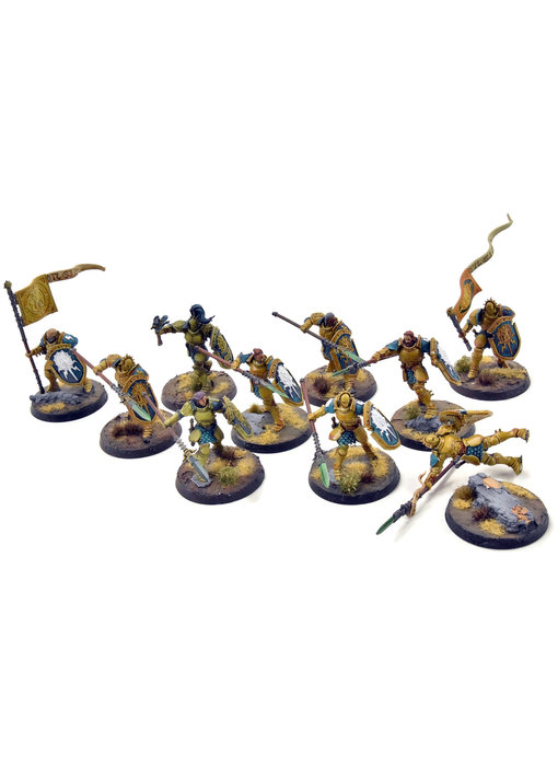 STORMCAST ETERNALS 10 Vindictors #1 WELL PAINTED Sigmar