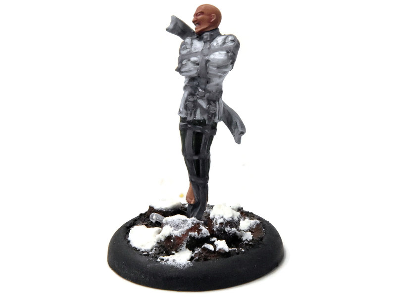 WARMACHINE Trancer #3 WELL PAINTED METAL Crucible Guard