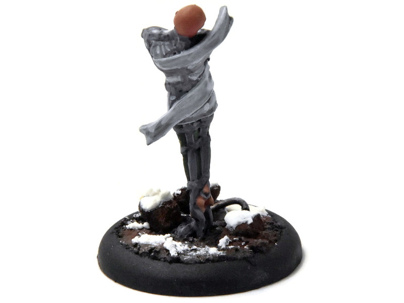 WARMACHINE Trancer #3 WELL PAINTED METAL Crucible Guard