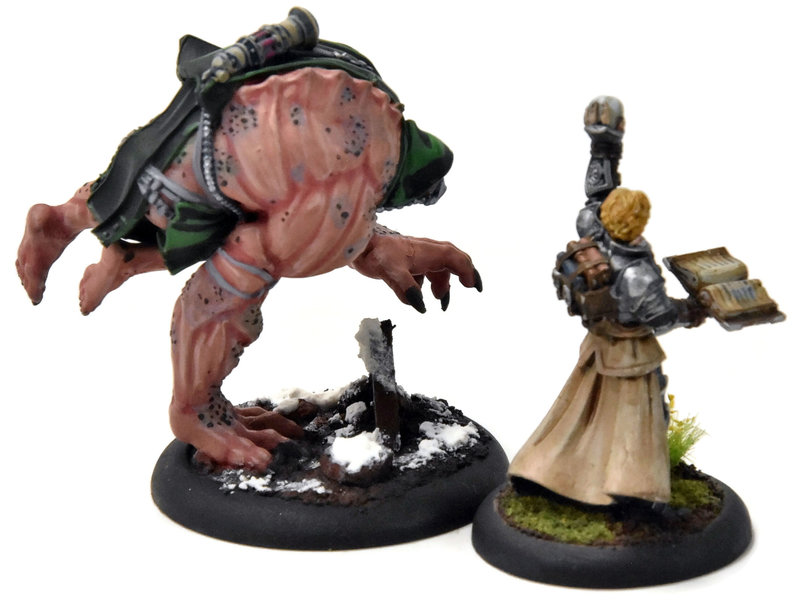 WARMACHINE Aurum Ominus Alyce Marc & Big Alyce PRO PAINTED METAL Crucible Guard