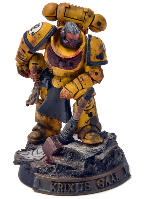 IMPERIAL FISTS Primaris Captain Converted #3 PRO PAINTED Warhammer 40K