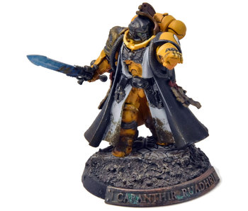 IMPERIAL FISTS Primaris Librarian #1 PRO PAINTED  Warhammer 40K