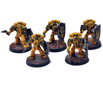 IMPERIAL FISTS 5 Phalanx Warders #2 PRO PAINTED Forge World 40K