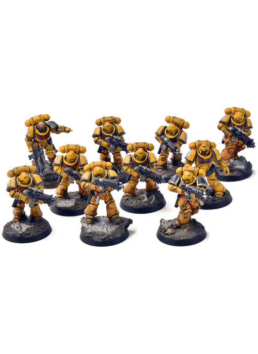 IMPERIAL FISTS 10 Intercessors #1 PRO PAINTED Warhammer 40K
