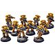IMPERIAL FISTS 10 Intercessors #1 PRO PAINTED Warhammer 40K
