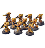 Games Workshop IMPERIAL FISTS 10 Intercessors #1 PRO PAINTED Warhammer 40K
