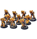 Games Workshop IMPERIAL FISTS 10 Intercessors #1 PRO PAINTED Warhammer 40K