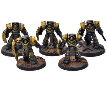 IMPERIAL FISTS 5 Cataphractii Terminator Squad #1 PRO PAINTED Horus Heresy 40K