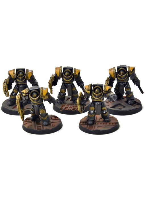 IMPERIAL FISTS 5 Cataphractii Terminator Squad #1 PRO PAINTED Horus Heresy 40K