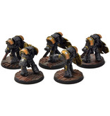 Games Workshop IMPERIAL FISTS 5 Cataphractii Terminator Squad #1 PRO PAINTED Horus Heresy 40K