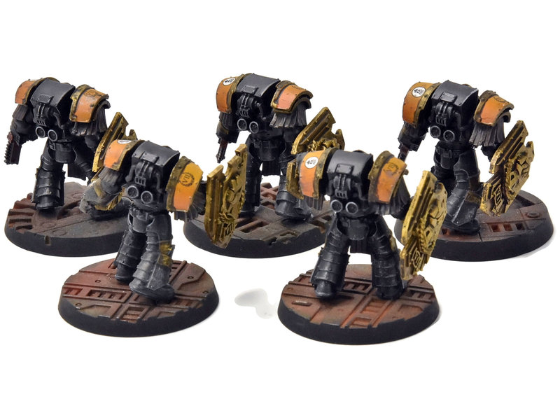 Games Workshop IMPERIAL FISTS 5 Cataphractii Terminator Squad #1 PRO PAINTED Horus Heresy 40K