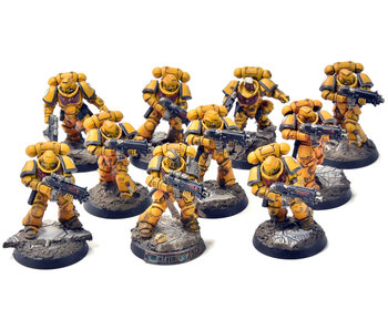 IMPERIAL FISTS 10 Intercessors #2 PRO PAINTED Warhammer 40K