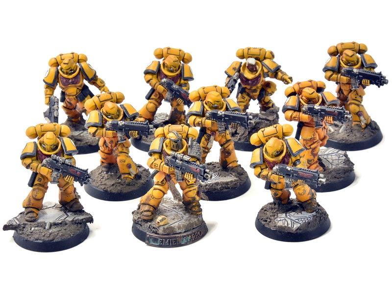 Games Workshop IMPERIAL FISTS 10 Intercessors #2 PRO PAINTED Warhammer 40K